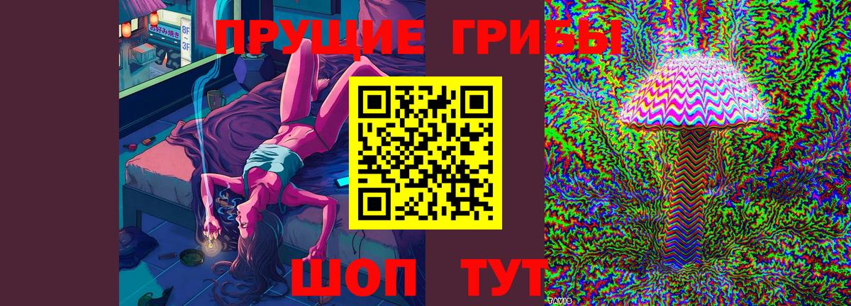 Галлюциногенные грибы Cubensis  Вход с VPN  Амурск 