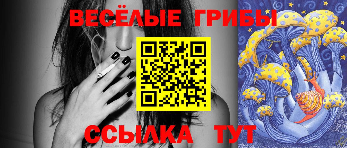 Псилоцибиновые грибы MAGIC MUSHROOMS Амурск